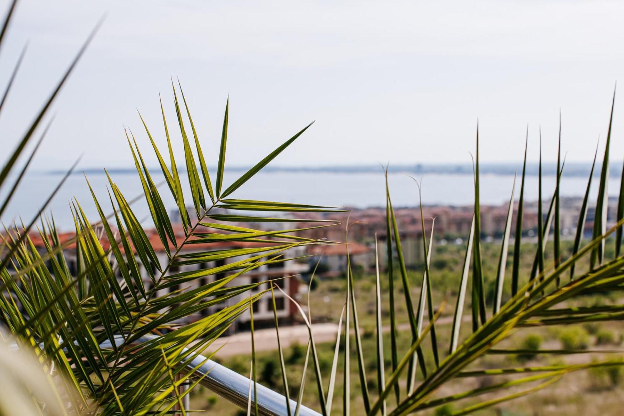 Red Iguana Hotel Sveti Vlas Exterior foto